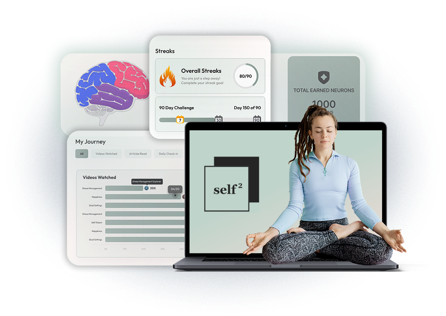 Food Fire Knives Project